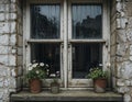 Charming Weathered Window with Potted Daisies on a Stone Wall Royalty Free Stock Photo