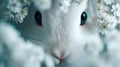A charming white bunny snuggled up in a bed of white flowers Royalty Free Stock Photo