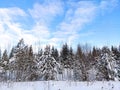 Charming white fluffy snowy day