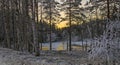 A charming winter morning in Sweden