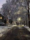 Charming Winter Street