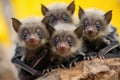 Charming Young Bats Enjoying Playtime in Their Natural Habitat.