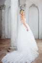 Charming young bride in luxurious wedding dress. Pretty girl, the photo Studio Royalty Free Stock Photo