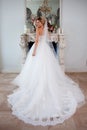 Charming young bride in luxurious wedding dress. Pretty girl, photo Studio Royalty Free Stock Photo