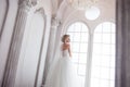 Charming young bride in luxurious wedding dress. Pretty girl, the photo Studio Royalty Free Stock Photo