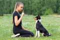 A charming young girl sits on her knees and brings up a puppy Basenji in the Park on the green grass Royalty Free Stock Photo