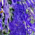 Charoite background Royalty Free Stock Photo