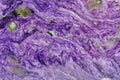 Charoite rock section Royalty Free Stock Photo
