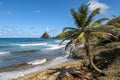 Charpentier beach in Sainte-Marie, Martinique Royalty Free Stock Photo