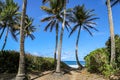 Charpentier beach in Sainte-Marie, Martinique Royalty Free Stock Photo