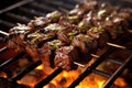 charred beef skewers with grill marks on bbq Royalty Free Stock Photo