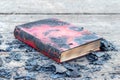 A charred book among the black ash from burned pages