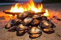 charred clams atop a glowing beach fire