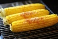 charred corn on the cob on a cooling rack