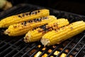 charred corn cobs on a metal grill pan