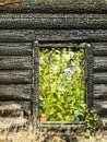 Charred house