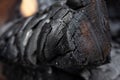 Charred log Royalty Free Stock Photo