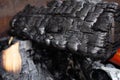 Charred log Royalty Free Stock Photo