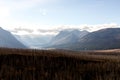 Charred Remains of Forest Fire and Mountains Royalty Free Stock Photo