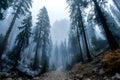 Charred trees standing in a desolate forest landscape after a wildfire, with ash-covered ground and a hazy sky filled with Royalty Free Stock Photo