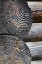 Charred vintage wood burnt log stump cut. Selective focus burnt resinous wood glowing texture of rough surface felled