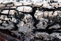 Charred wood background Royalty Free Stock Photo