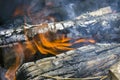 Charred wood logs are burning in the fire Royalty Free Stock Photo