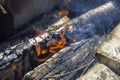 Charred wood logs are burning in the fire Royalty Free Stock Photo