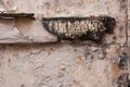 Charred wood on a plaster wall