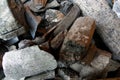 Charred wood residues after a fire, danger, forest fires
