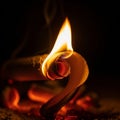 Charring, creating a dynamic interaction between the flames and the Royalty Free Stock Photo