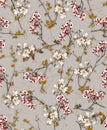 charry blosem pattern with red flower and gray background Royalty Free Stock Photo