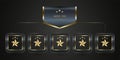 A Chart of Luxury and Premium star buttons check list options concept, and chart gold stars rectangle enclosed in a rounded square