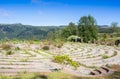 Chartres styled labyrinth at beautiful Hogsback at The Edge