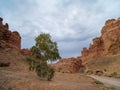 Charyn Canyon National Park. Charyn Canyon National Park. The road along the bottom of the Valley of Castles Royalty Free Stock Photo