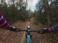 Chasing a rider in a mountain bike race in a single track forest trail Royalty Free Stock Photo