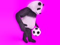 Chasing a soccer ball on foot on purple background. touching cute panda soccer player. juggling ball bear.