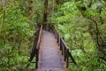 The Chasm Walk - Fiordland National Park