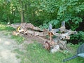 Chassis of old Landrover in grass