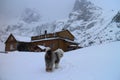 Chata pri Zelenom plese BrnÃÂÃÂ¡lka hut and Old English Sheepdog in Zelene pleso valley in High Tatras
