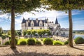 Chateau Amboise framed by trees of beautiful renaissance garden. Loire Valley, France