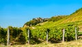Chateau-Chalon village above its vineyards in Jura, France Royalty Free Stock Photo