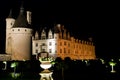 Chateau Chenonceau at night. Royalty Free Stock Photo