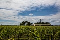 Chateau Cheval Blanc mansion and vineyard,saint emilion, right bank,Bordeaux, France Royalty Free Stock Photo