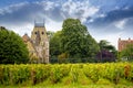 Chateau Corton Charlemagne with vineyards, Burgundy, France Royalty Free Stock Photo