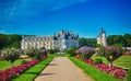 Chateau de Chenonceau garden view Royalty Free Stock Photo