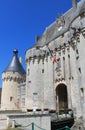 Chateau de Jonzac. ( France )