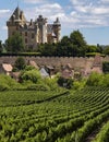 Chateau de Montfort - Dordogne - France Royalty Free Stock Photo