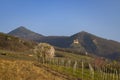 Chateau de Saint-Ulrich ruins, Chateau du Girsberg ruins and Chateau du Haut-Ribeaupierre near Ribeauville, Alsace, France