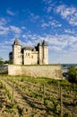 Chateau de Saumur Royalty Free Stock Photo